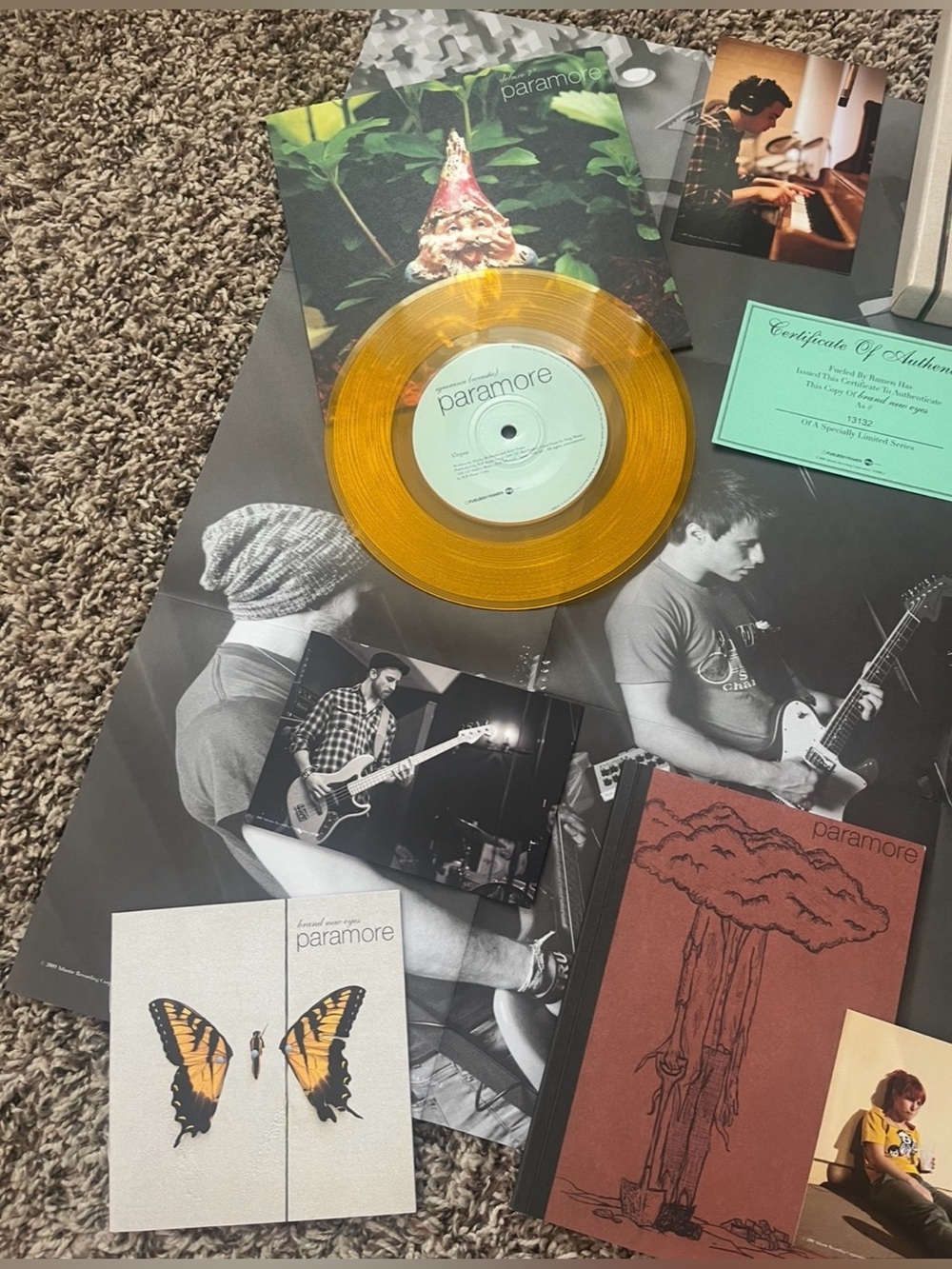COMPLETE! Paramore | “Brand New Eyes” (Limited Edition Box Set) (2009) - Picture 2 of 16